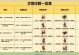 《文明手游攻略大全》（一键通关，成为真正的文明领袖！）