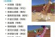 《探索疯狂动物园手游的乐趣》（打造最疯狂的动物王国，快来加入吧！）