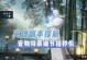 逆水寒技能特效获取攻略（玩转逆水寒，轻松获得技能特效）