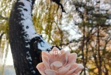 《梦幻手游初雪攻略——探索最佳战斗策略》（绝世神器、升级心得、PVP技巧，助你成为初雪王者）