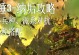 战锤3最强技能加点攻略（打造无敌战锤勇士，掌握最强技能加点秘籍）
