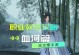逆水寒血河技能升级攻略（血河技能提升、技巧与策略全解析）