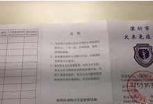 中华田园犬出装攻略——打造最新潮的宠物时尚（了解中华田园犬出装的秘诀，让你的宠物成为街头时尚焦点）