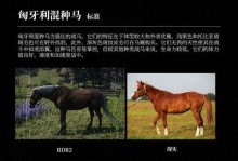 大镖客马匹技能搭配攻略（解锁你的战马潜力，成为无敌的大镖客！）