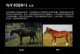 大镖客马匹技能搭配攻略（解锁你的战马潜力，成为无敌的大镖客！）