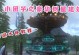 方舟手游多人建家攻略（与好友一起探索新世界，建立强大家园！）