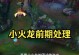 《小火龙手游攻略大揭秘》（一起来探索小火龙手游的无限乐趣吧！）