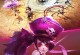 《以太极熊猫技能加点升级攻略》（打造无敌战斗力，解锁终极技能！）