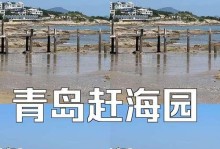 青岛赶海攻略（从应用装备到捕捞技巧，青岛赶海让你畅享亲近大海的乐趣）