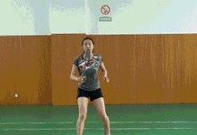 打造无敌羽毛球攻略技能！（掌握技巧，让你成为羽毛球场上的王者！）