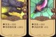 《元素方尖》天赋历练指南（如何选择天赋提升你的实力？）