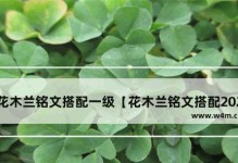 《木兰出装铭文详细攻略》（解密最强战士木兰的必备装备和铭文选择！）