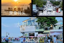 环海别墅手游攻略（揭秘环海别墅手游中的奢华居住体验，打造梦幻别墅！）